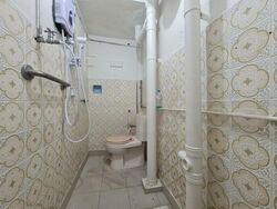 Tiong Bahru Orchid (D3), Shop House #459111771